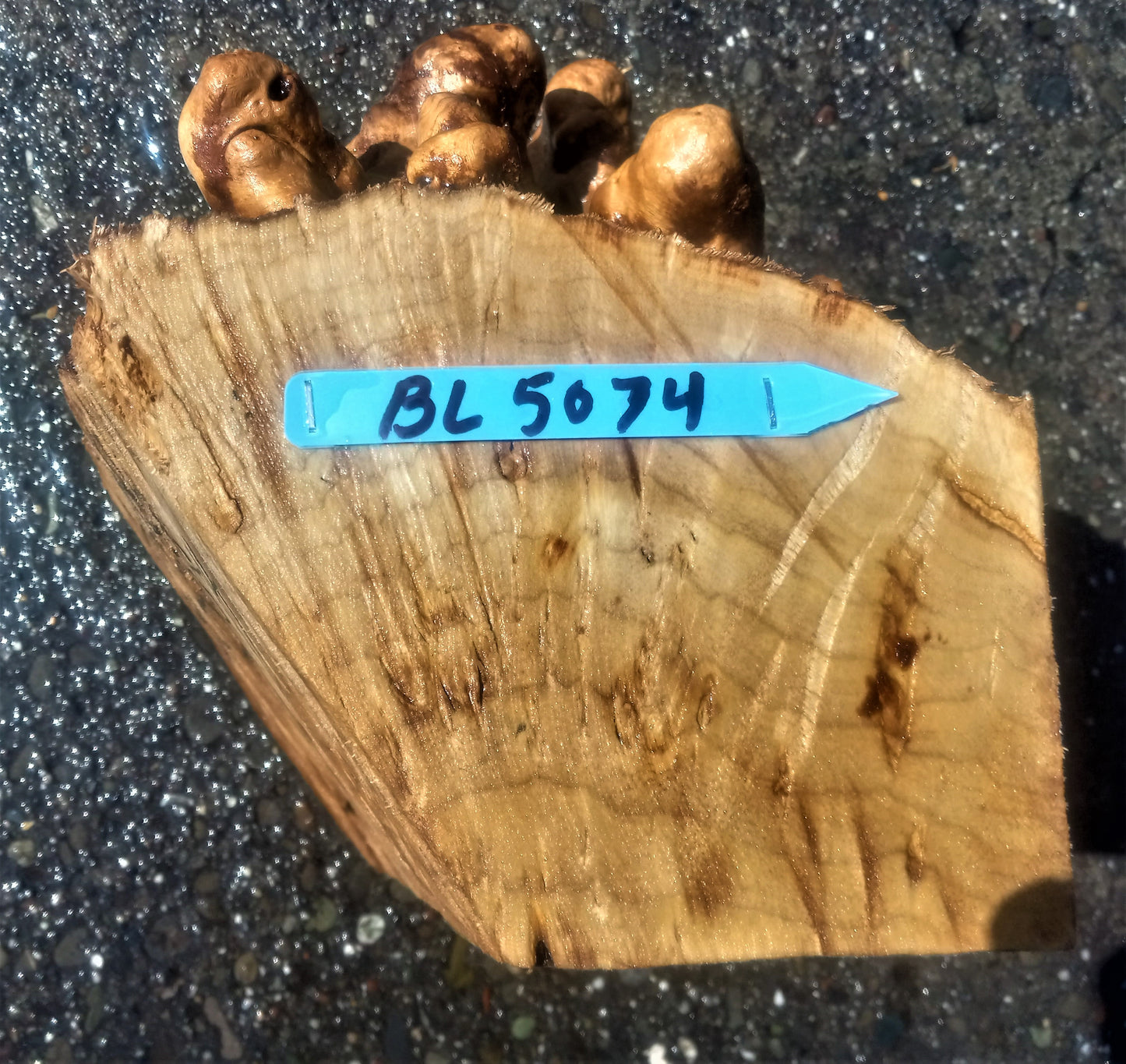 Myrtle burl | DIY wood crafts | bowl turning | craft wood | bl5074