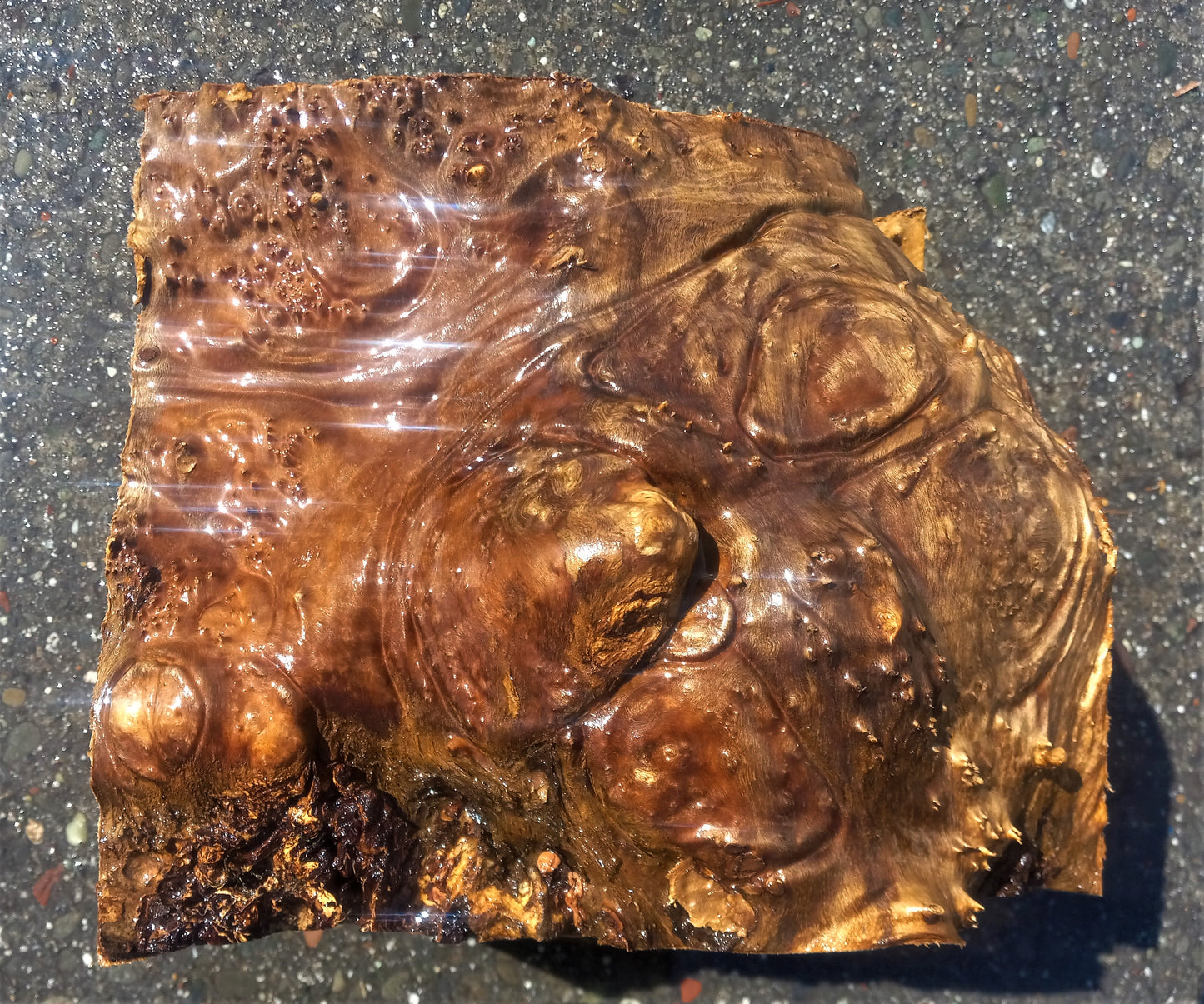 Myrtle burl | DIY wood crafts | bowl turning | craft wood | bl5075