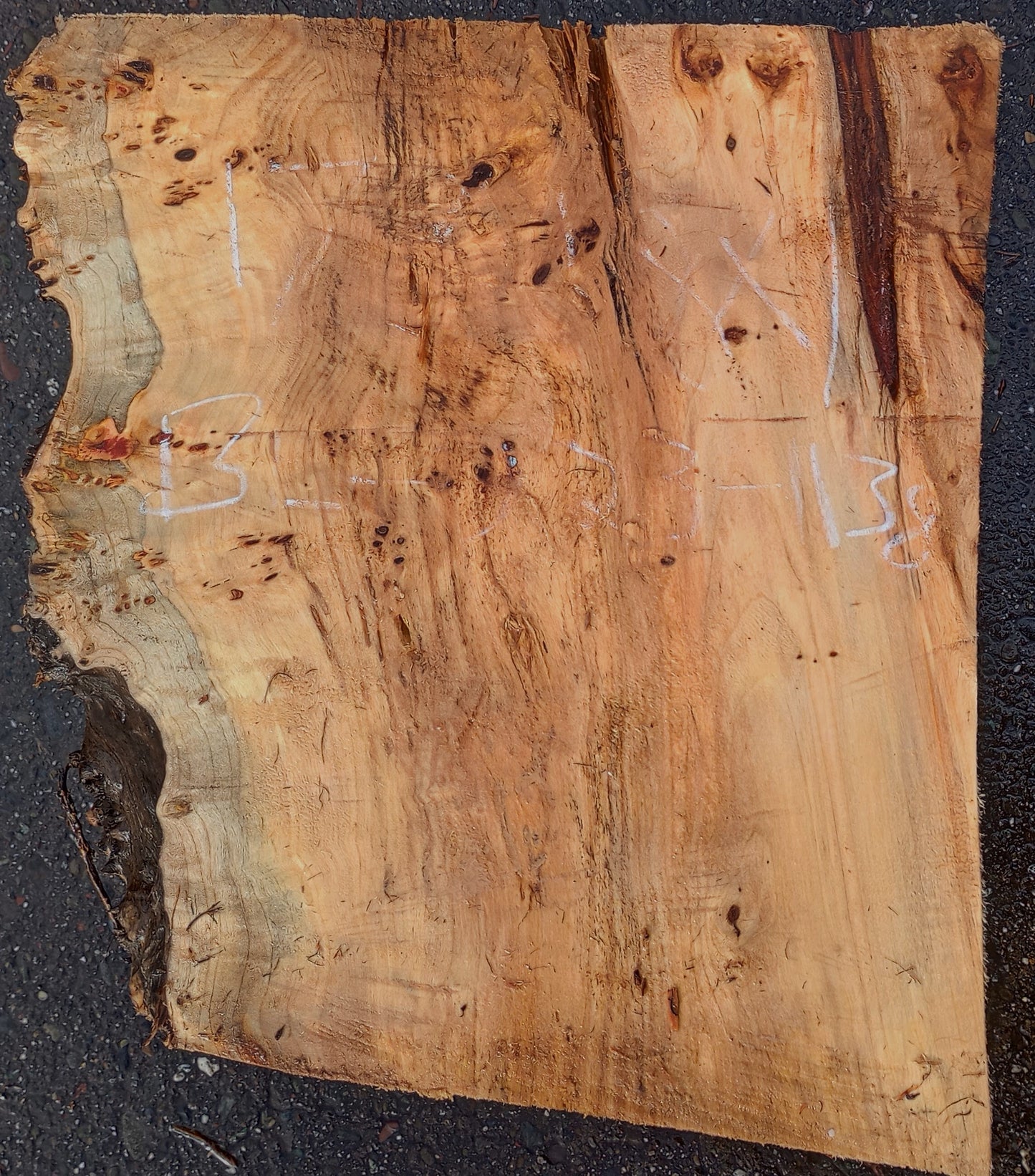 Maple burl | bowl blank | DIY | craft woods | wood turning | blma23-1138