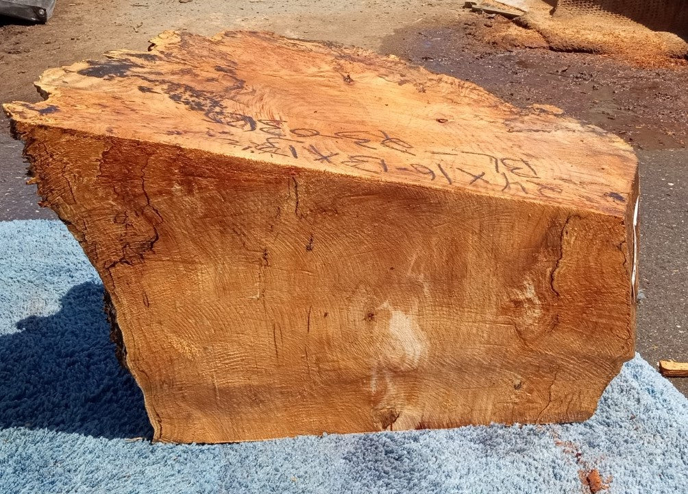 Maple burl cap | bowl turning | wood turning | DIY wood crafts | blma23-0310