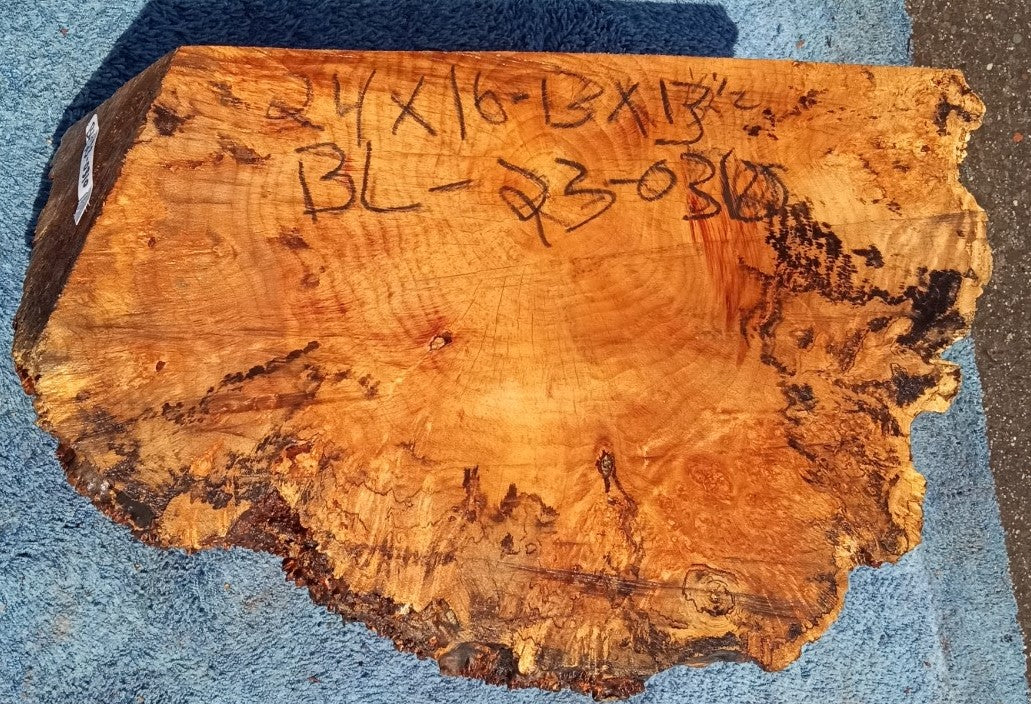 Maple burl cap | bowl turning | wood turning | DIY wood crafts | blma23-0310