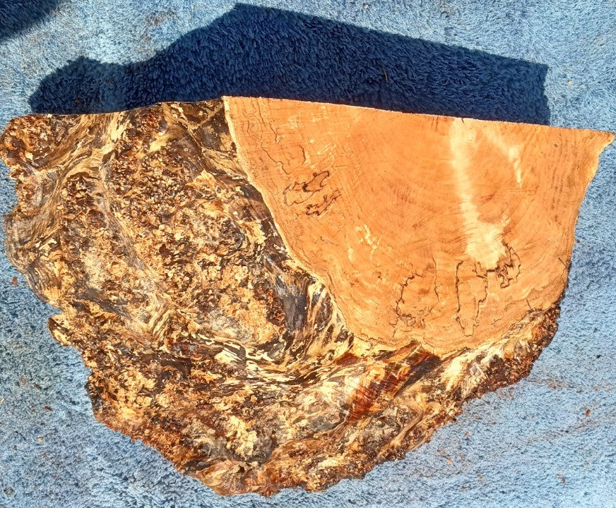 Maple burl cap | bowl turning | wood turning | DIY wood crafts | blma23-0310
