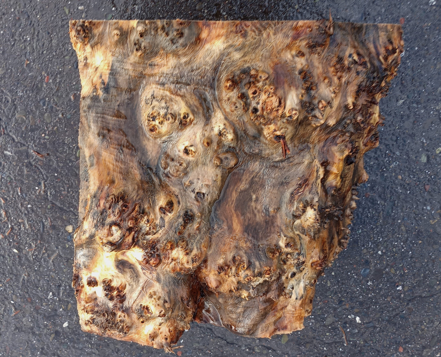 Maple burl | bowl blank | DIY | craft woods | wood turning | blma23-1138