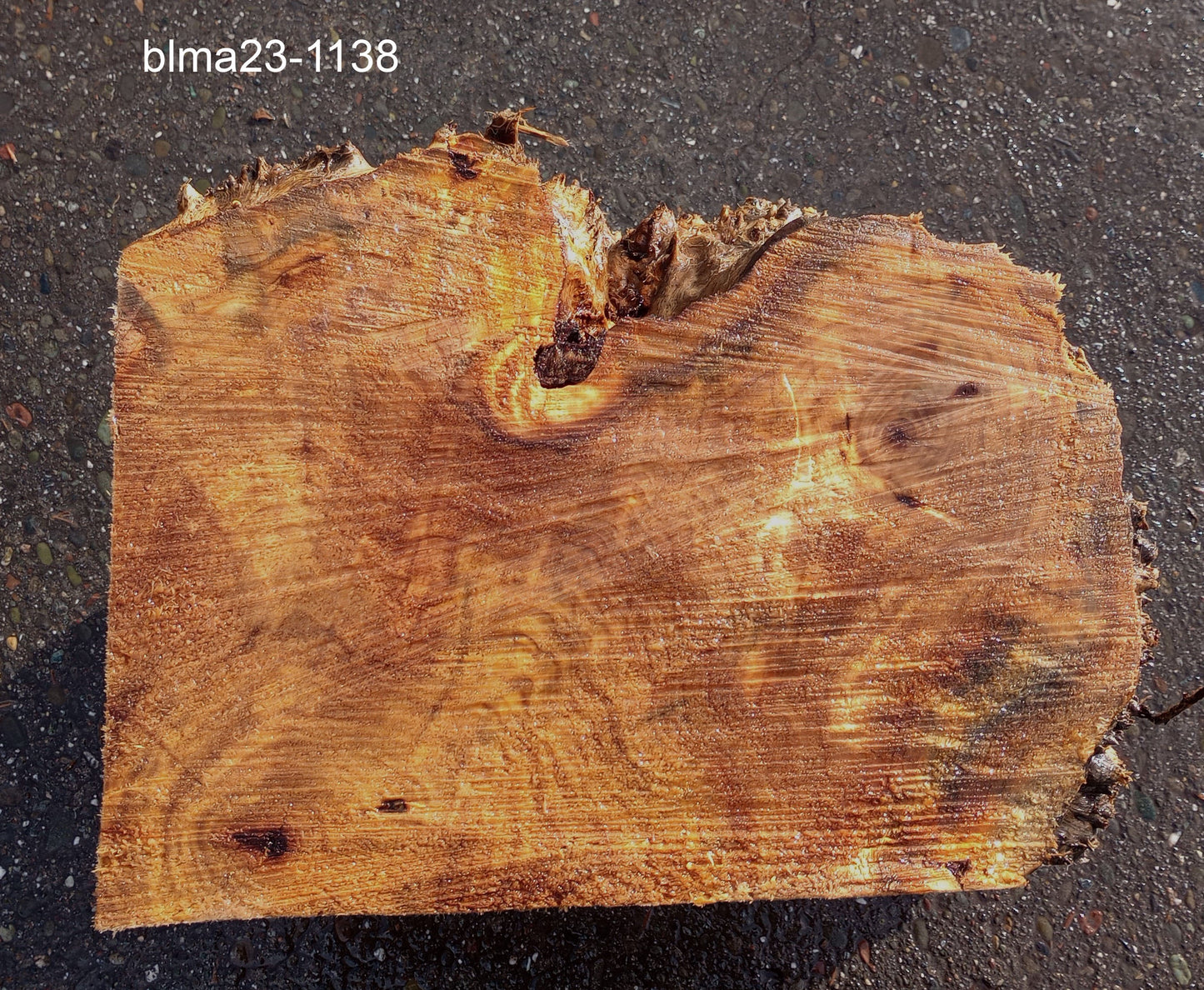 Maple burl | bowl blank | DIY | craft woods | wood turning | blma23-1138