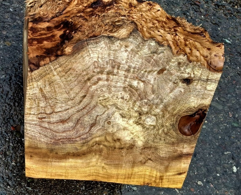 Myrtle burl | bowl turning | wood turning | DIY wood crafts | bl23-0536
