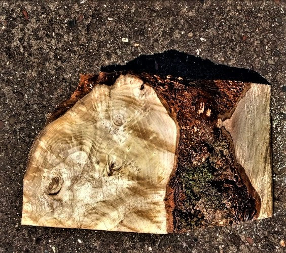 maple burl | bowl turning | wood turning | DIY wood crafts | bl23-0353