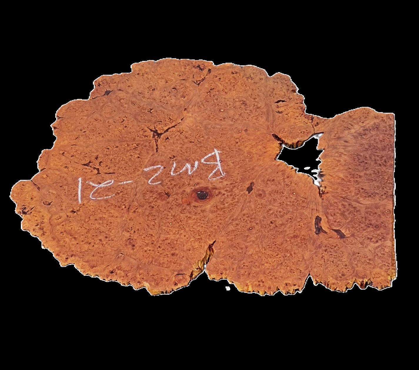 Maple Burl Block | Maple Burl | Maple Slab | End Table| DIY Crafts | BSMZ-21