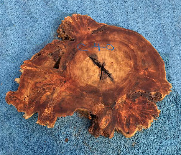 Poplar | cookie cut | burl slab | wood craft ideas | DIY wood | c-40