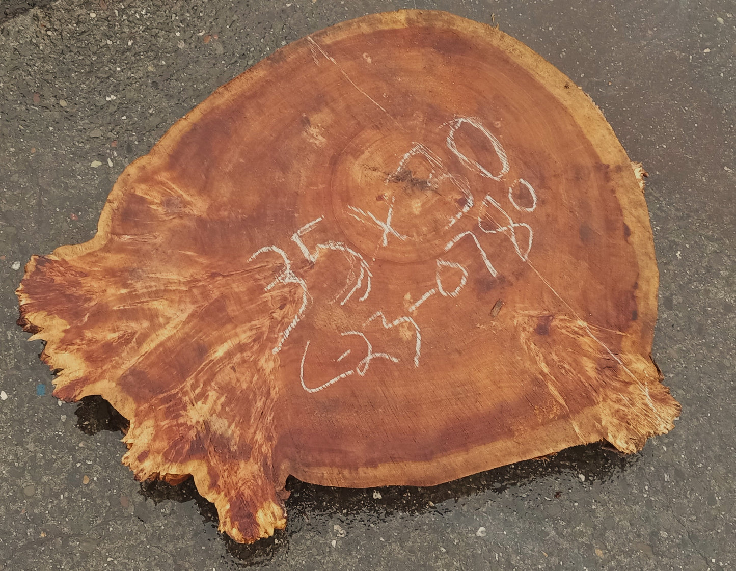 Black Poplar slab | live edge | cookie cut | river table | 23-0780