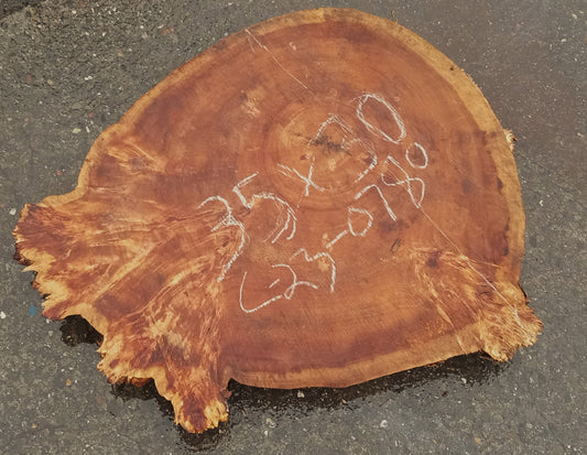Black Poplar slab | live edge | cookie cut | river table | 23-0780
