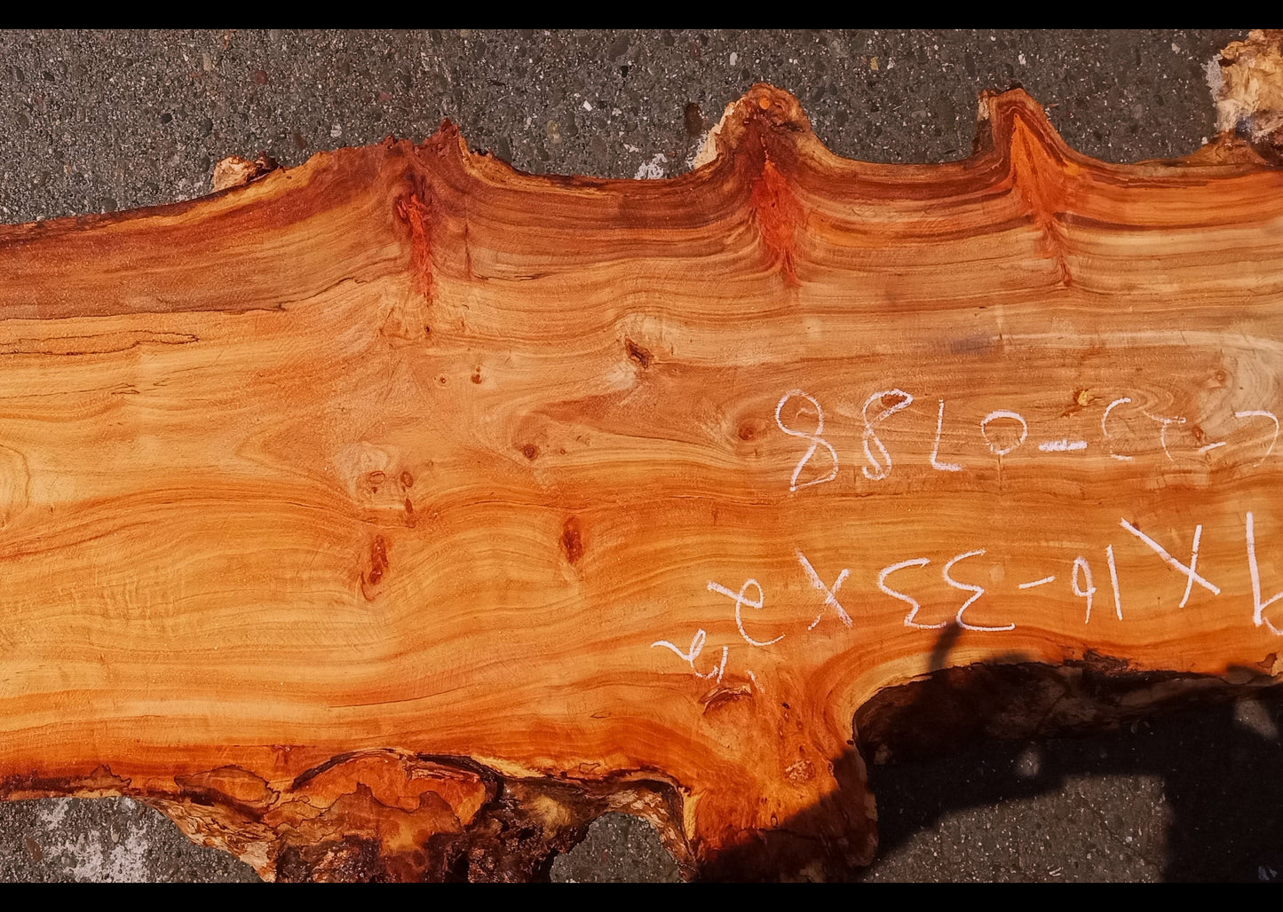 Mappa burl | Poplar | river table | live edge slab | DIY ideas | p23-0788