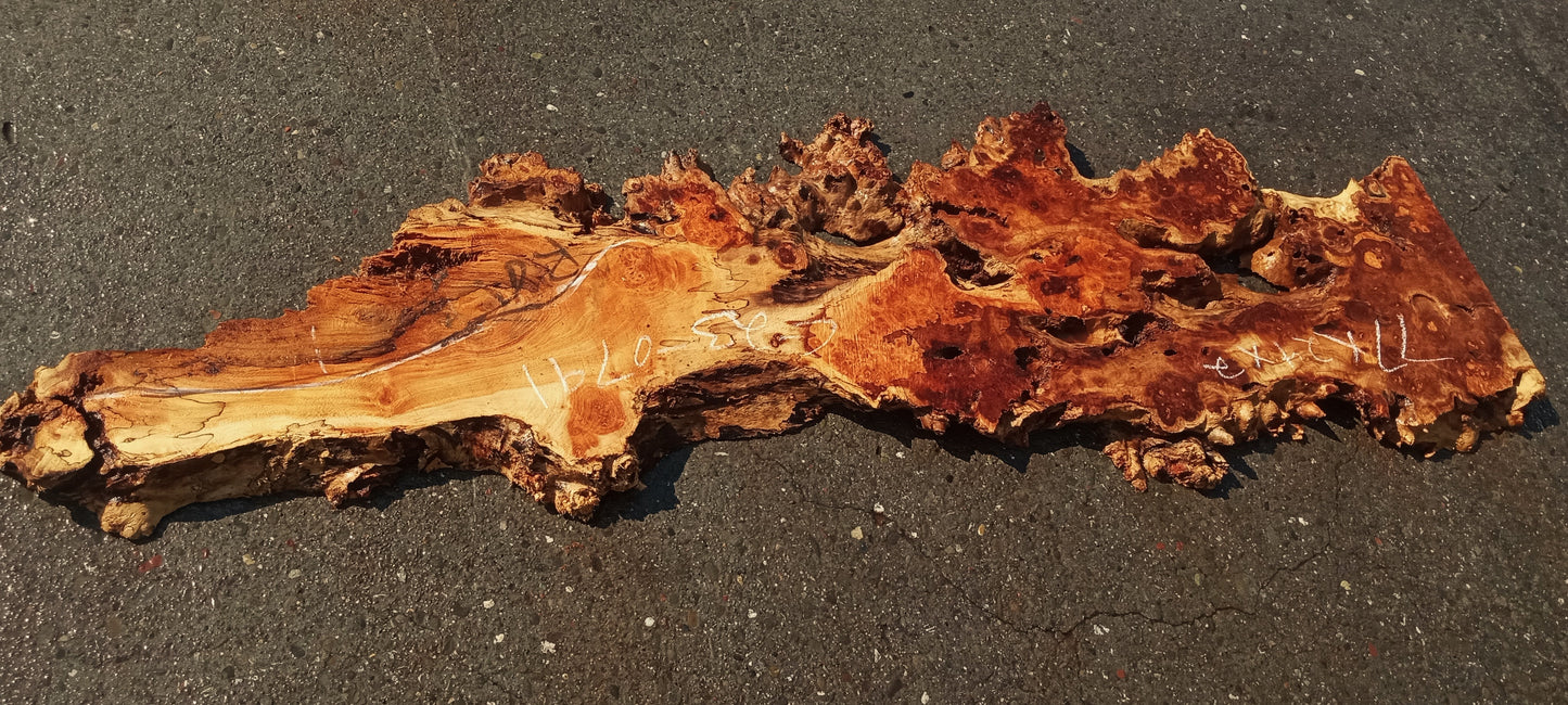 Mappa burl | Poplar | river table | live edge slab | DIY ideas | p23-0791