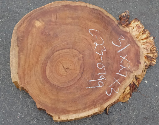 Black Poplar slab | live edge | cookie cut | river table | 23-0799