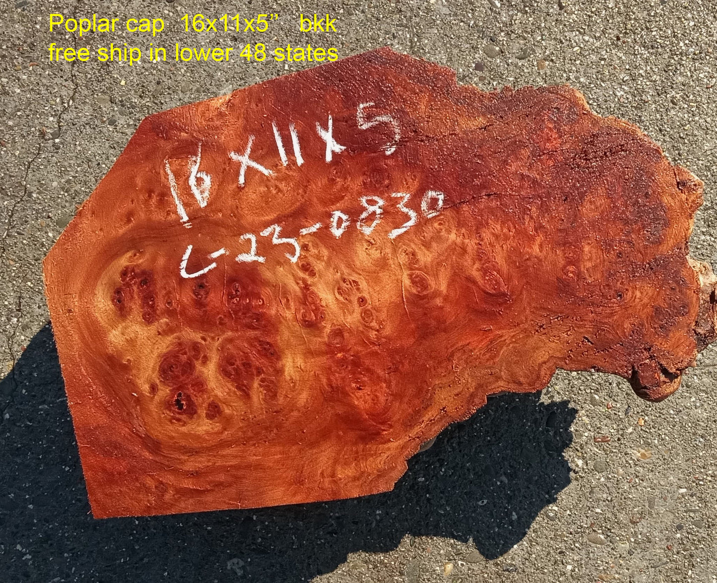 Mappa burl | Poplar | burl cap | wood turning ideas | DIY crafts | c23-0830