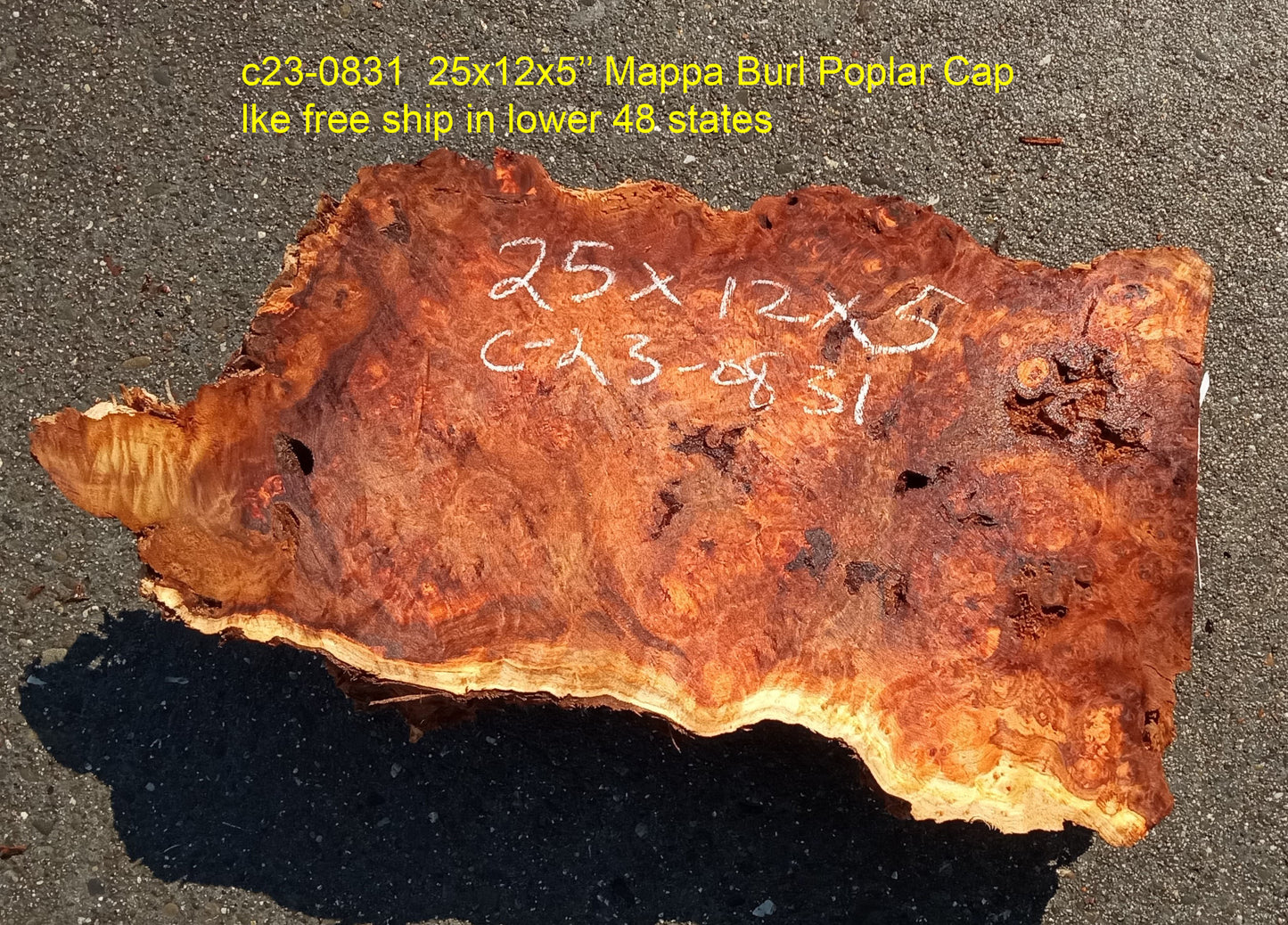 Mappa burl | Poplar | burl cap | wood craft ideas | DIY wood | c23-0831