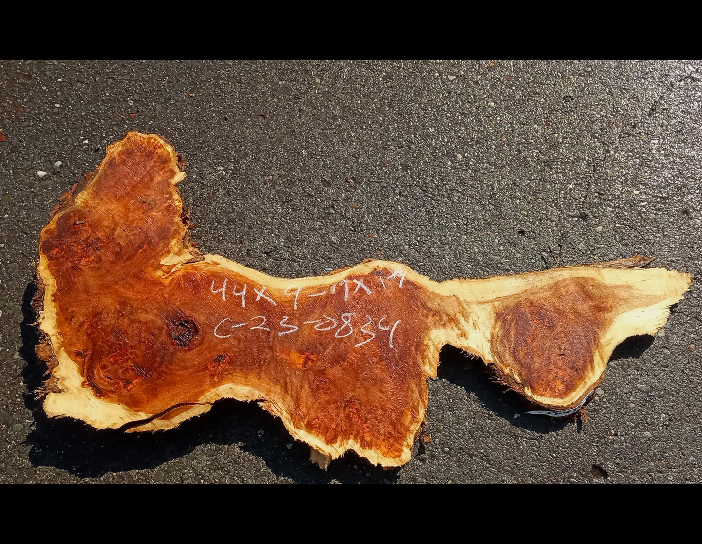 Mappa burl | Poplar | burl slab | wood craft ideas | DIY wood | c23-0834