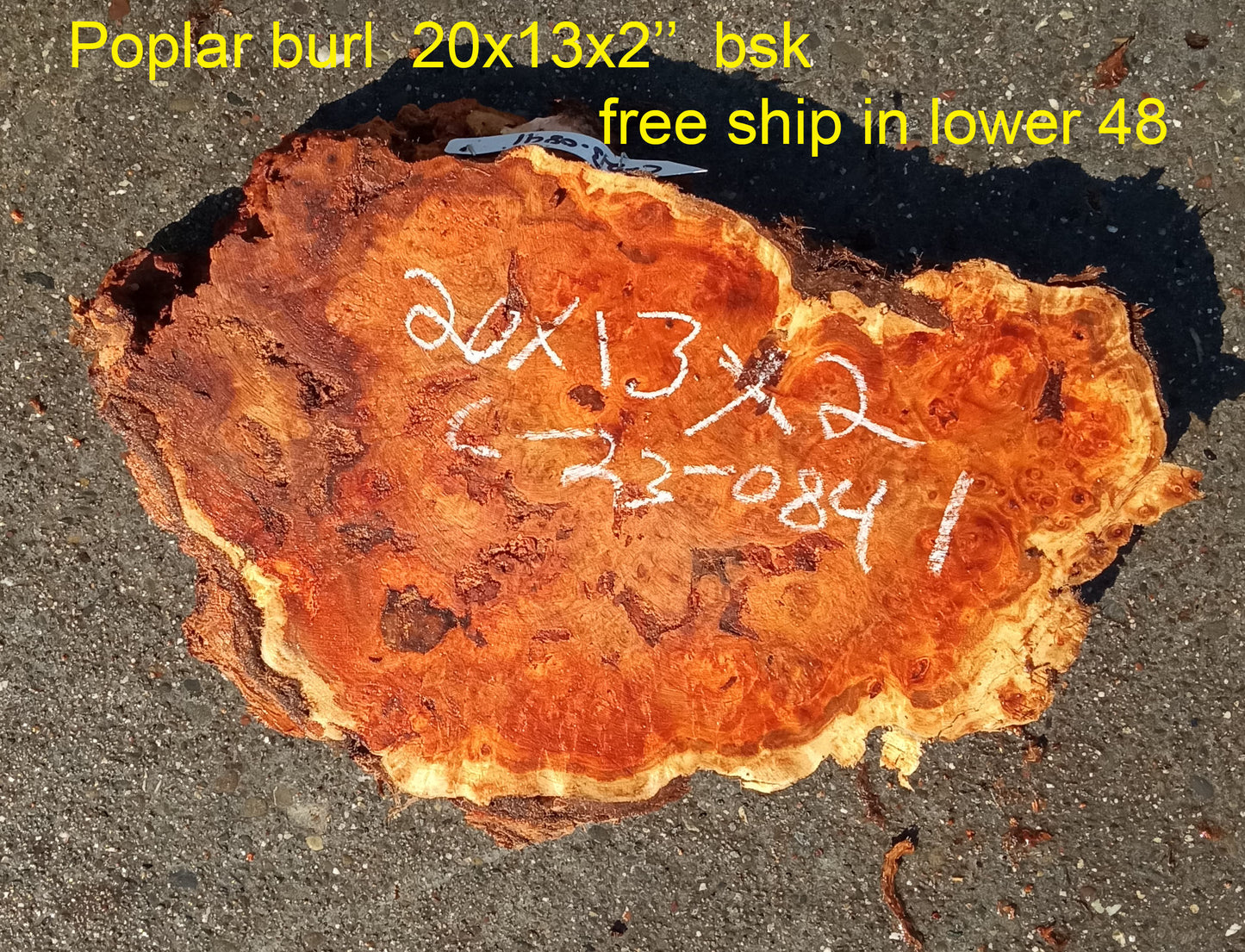 Mappa burl | Poplar | burl slab | wood craft ideas | DIY wood | c23-0841