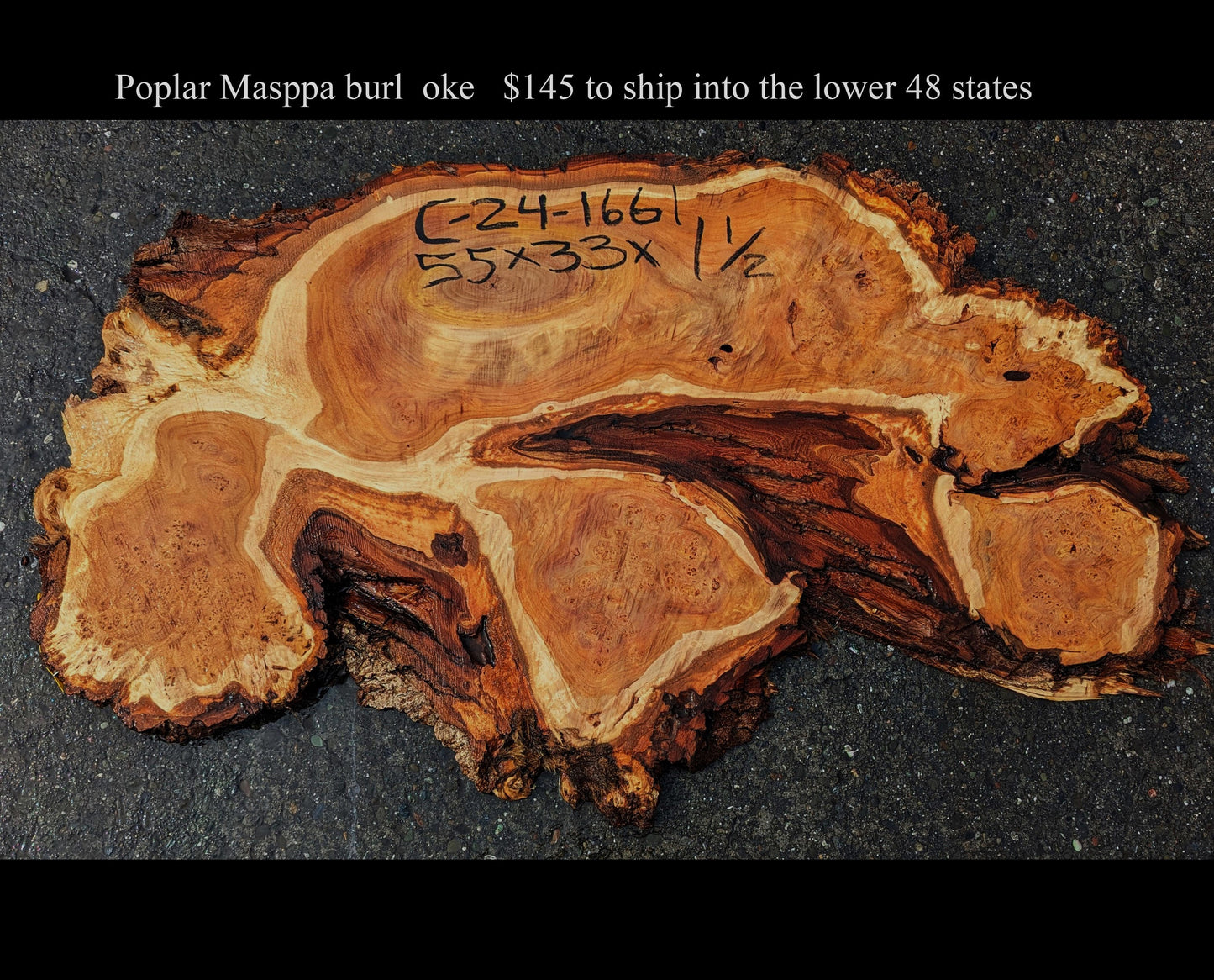 Poplar slab | live edge | Cluster Burl | epoxy river table | C24-1661