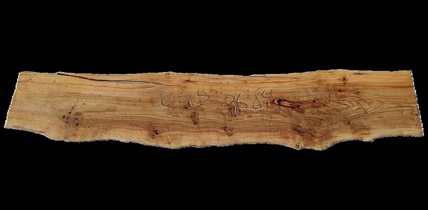 CottonWood Burl | Live Edge | DIY Crafts | River Table | C25-2684