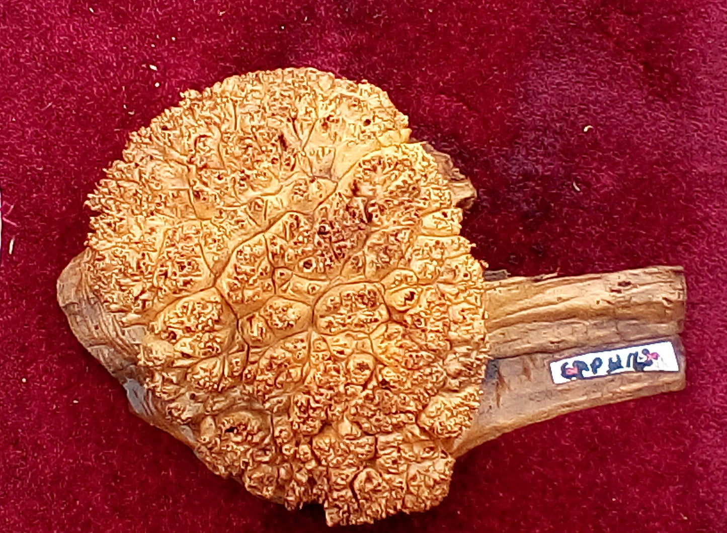 Maple burl cap | bowl blank | DIY crafts | wood turning | cap16-map