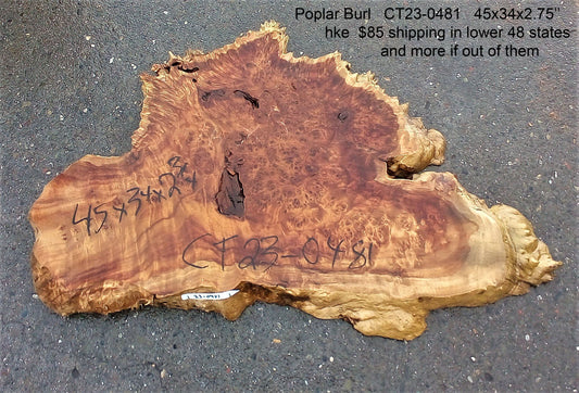Poplar burl | live edge table | burl table | DIY ideas | ct23-0481