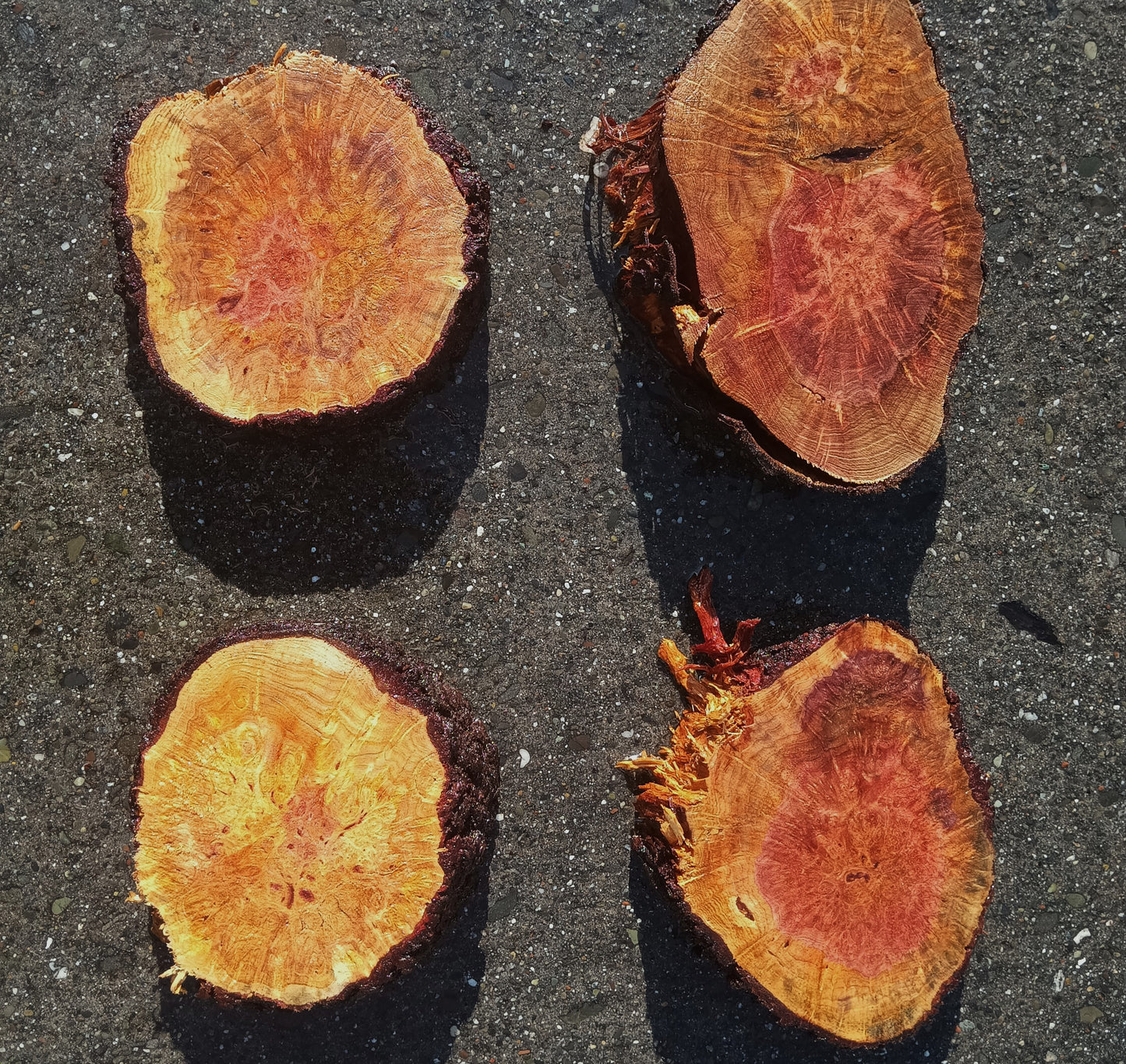 Redwood | Cookie Cut | Craft Woods | DIY | cwlace