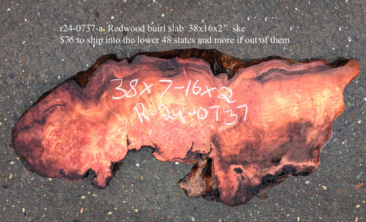 Redwood Burl Slab | DIY craft wood | Table | Redwood | R24-0737