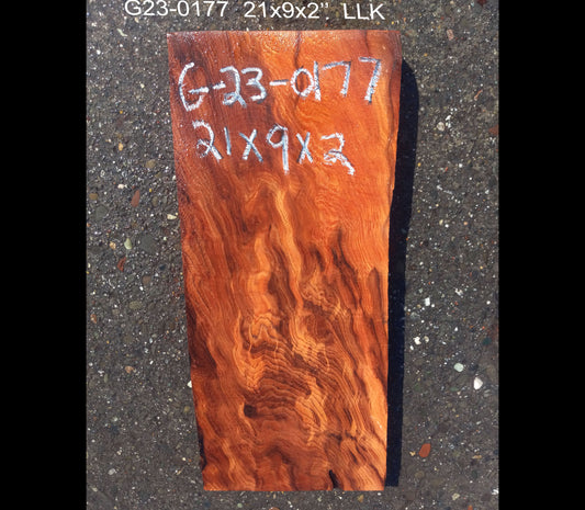 quilted redwood | guitar blank  | DIY | g23-0177