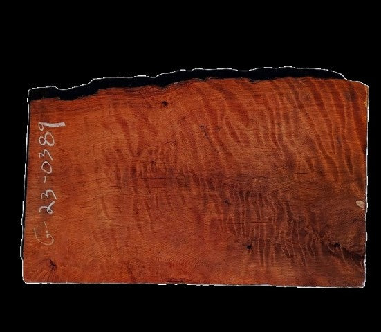 Guitar Blank | Instrument Wood | Luthier | G23-0389