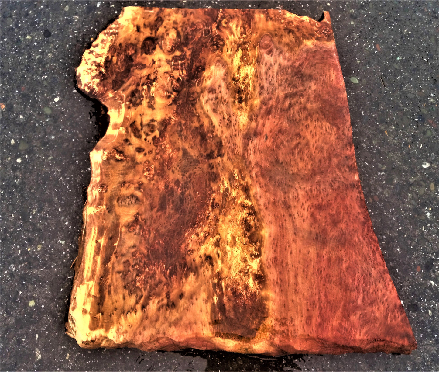 Redwood lace burl | guitar billet | DIY wood crafts | g3225l