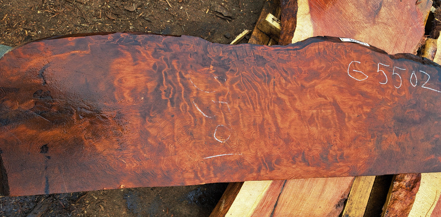 Quilted Redwood | guitar billet | DIY wood crafts | luthier wood | g5502