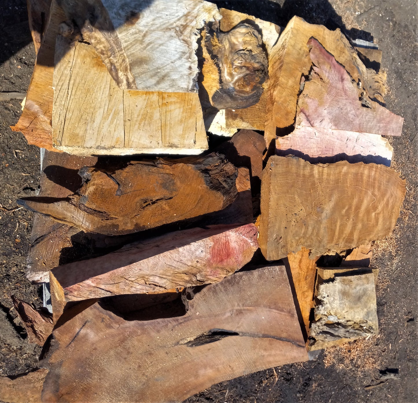 group deal | 40 blanks | Maple | redwood | Myrtle | burl and curl | group1