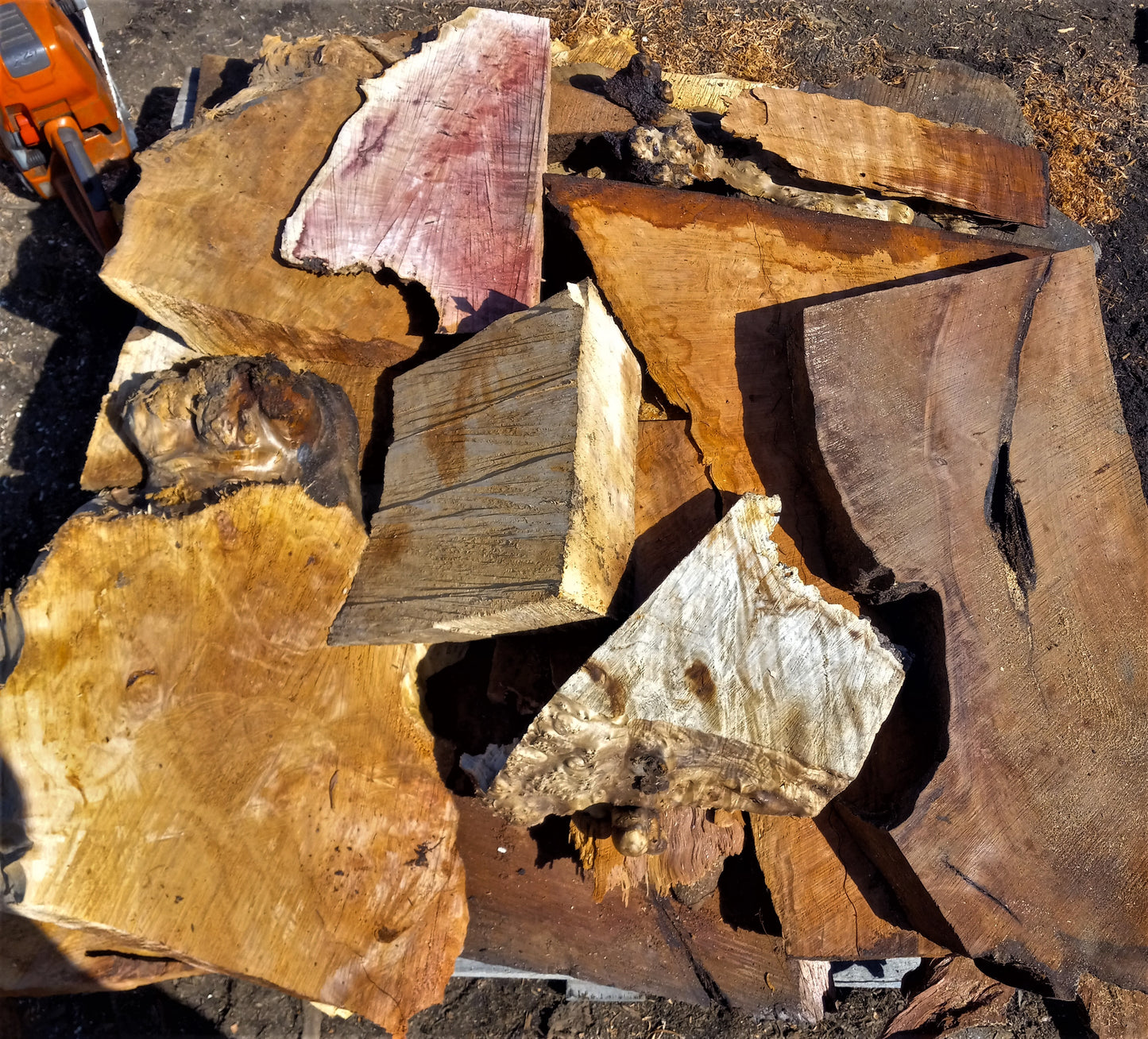 group deal | 40 blanks | Maple | redwood | Myrtle | burl and curl | group1