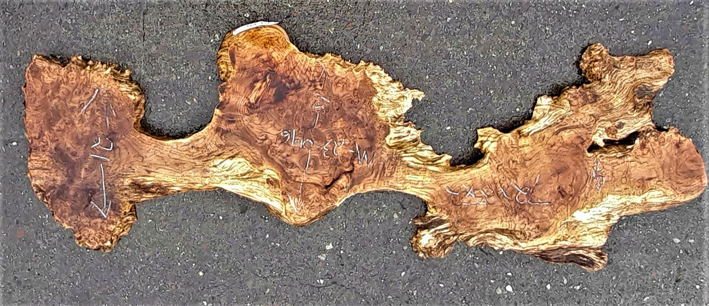 Maple burl | live edge slab | epoxy river table | DIY ideas | ma23-0196
