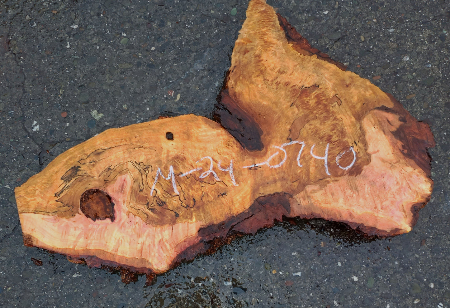 Maple | Burl Slab | Live Edge | Craft Wood | DIY | M24-0740