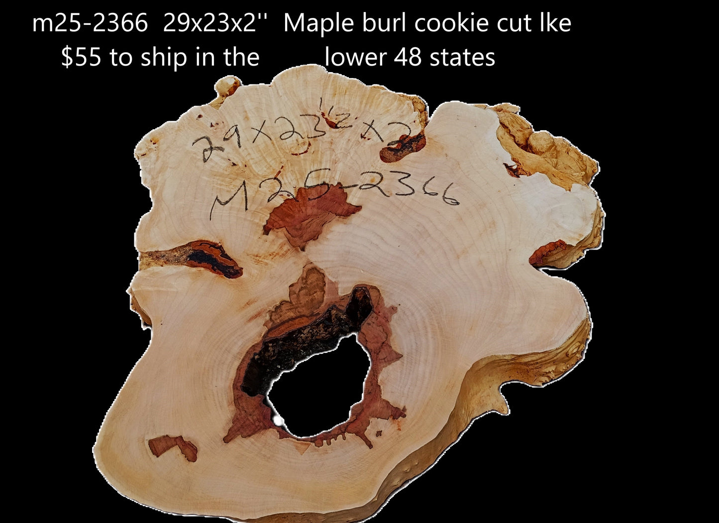 Maple Burl Cookie Cut | Live Edge | River Table | DIY | M25-2366