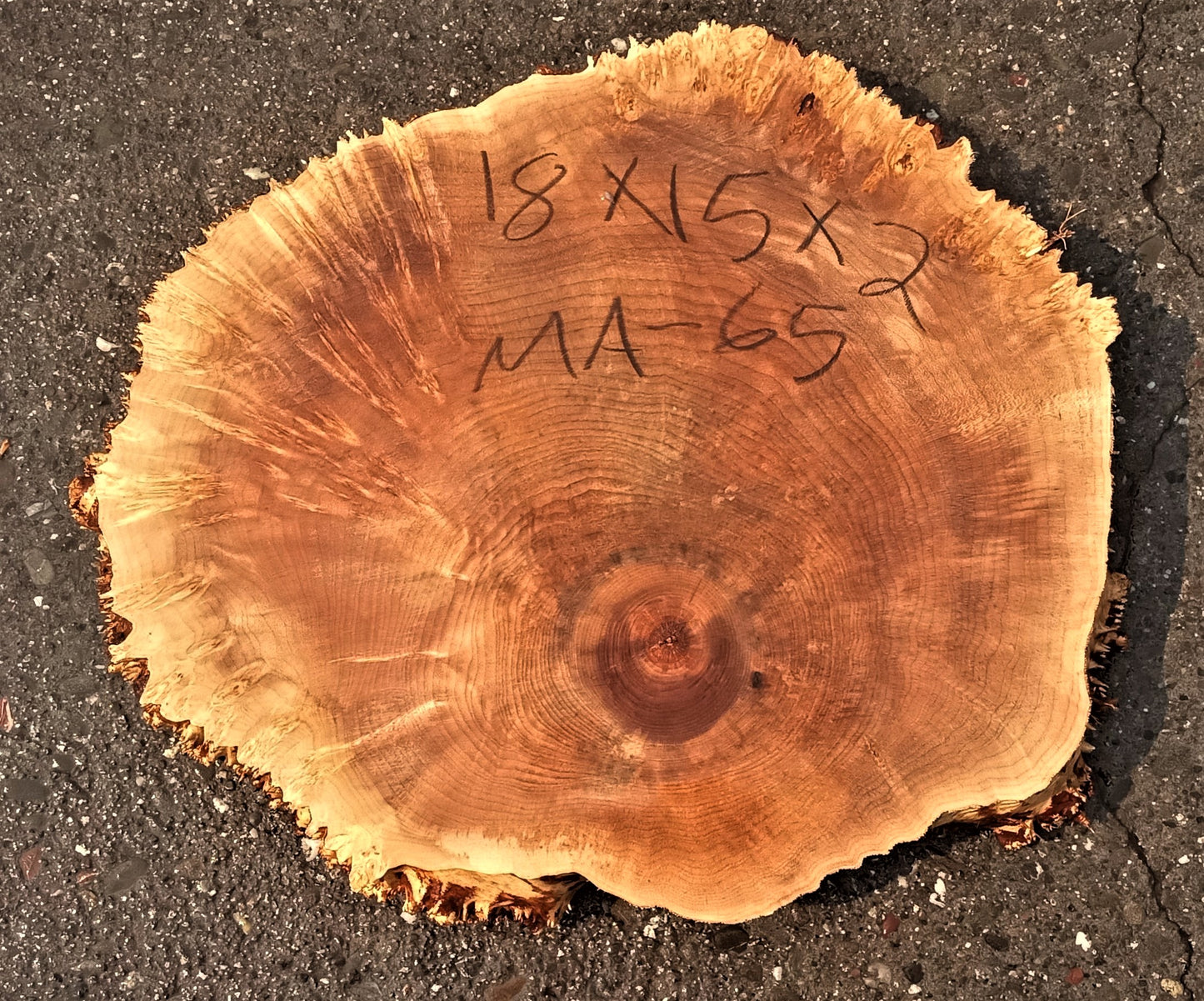 Maple burl slab | live edge | cookie cut | river table | ma65