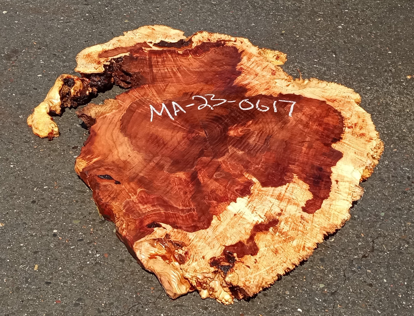 Maple burl slab | live edge | river table | burl table | DIY | ma23-0617