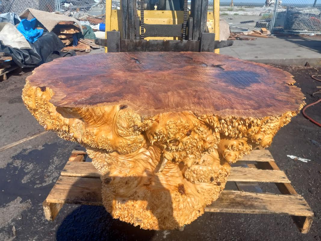 Maple solid burl | live edge table | one piece table | ma1piecetable