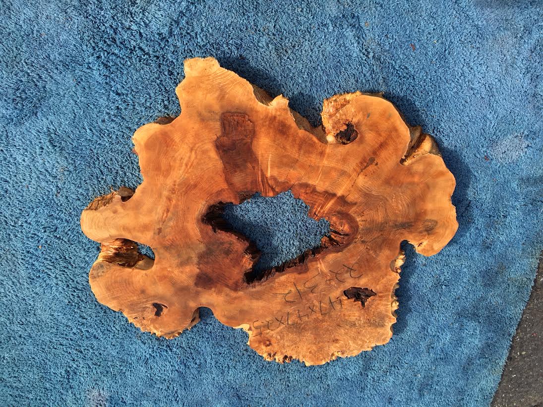 Maple burl | cookie cut | burl slab | wood craft ideas | DIY wood | Ma23-0241