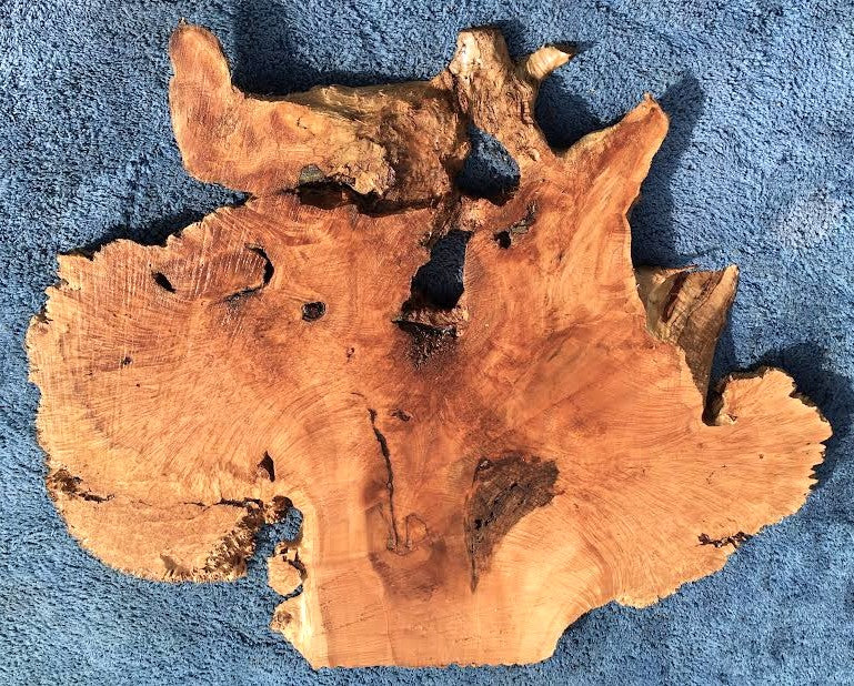Maple burl slab | epoxy river table | DIY wood | Ma23-0269