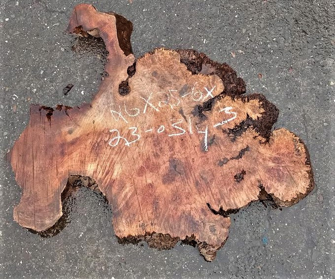 Maple | burl table | exotic wood | epoxy river table | DIY | ma23-0314