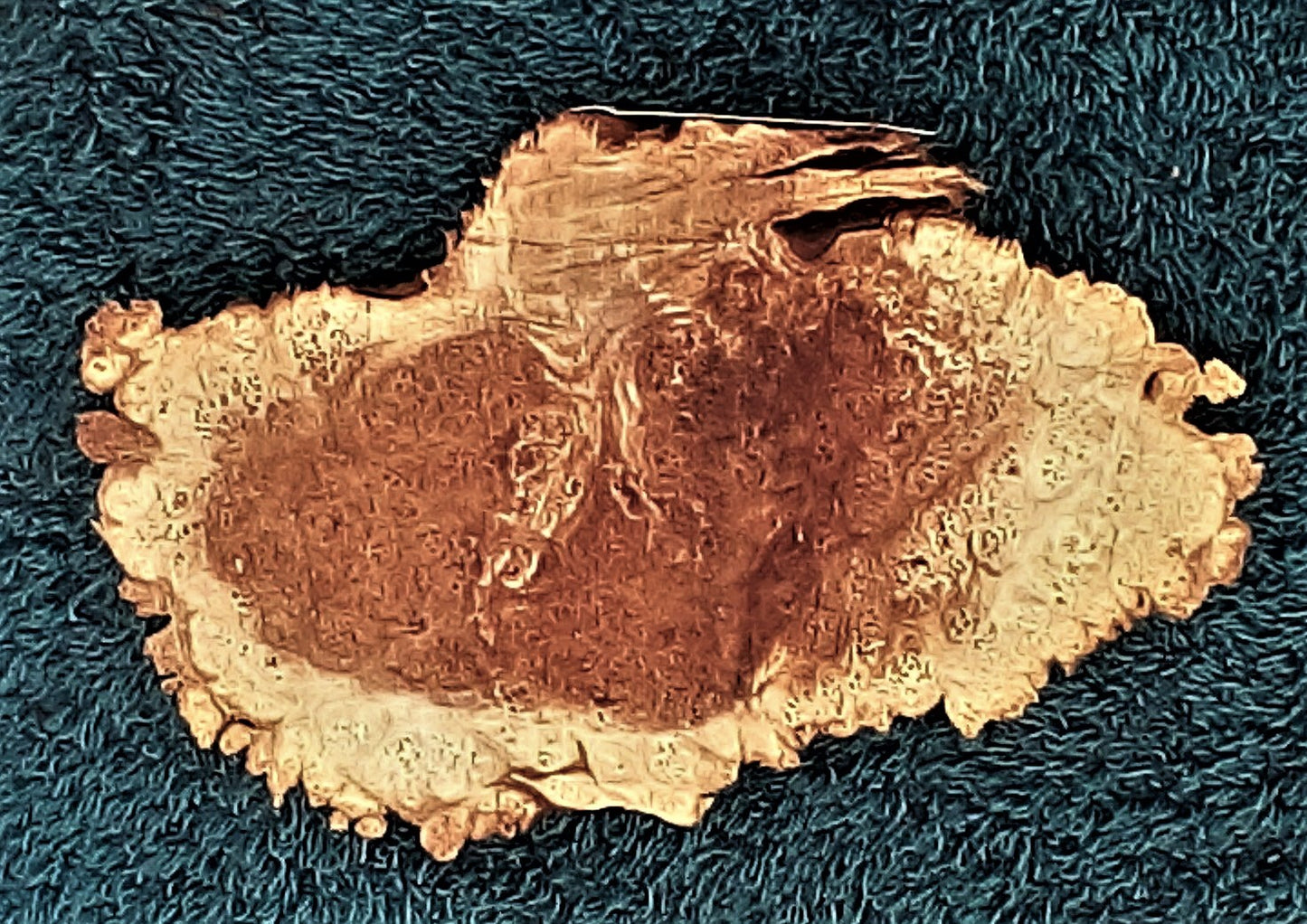 Maple burl slab | live edge | river table | DIY crafts | burl clock | ma23-0546