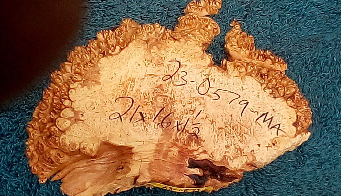 Maple burl slab | live edge | river table | DIY crafts | burl clock | ma23-0579