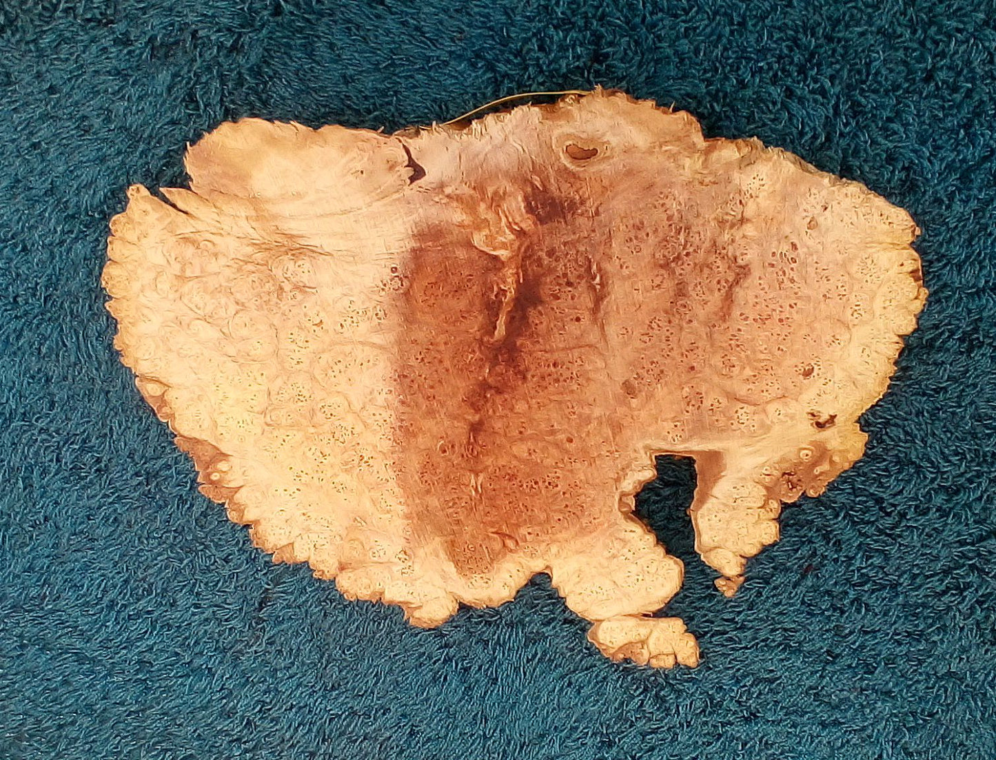 Maple burl slab | live edge | river table | DIY crafts | burl clock | ma23-0579
