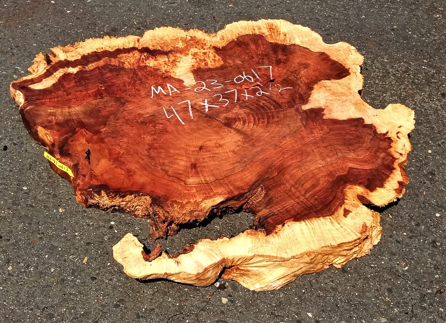Maple burl slab | live edge | river table | burl table | DIY | ma23-0617