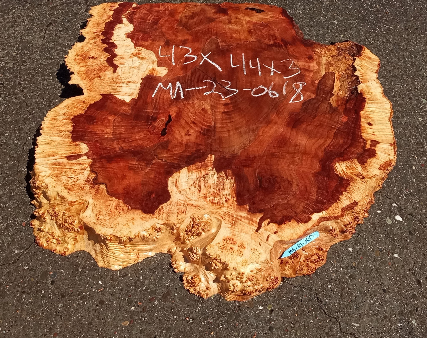 Maple burl slab | live edge | river table | burl table | DIY | ma23-0618