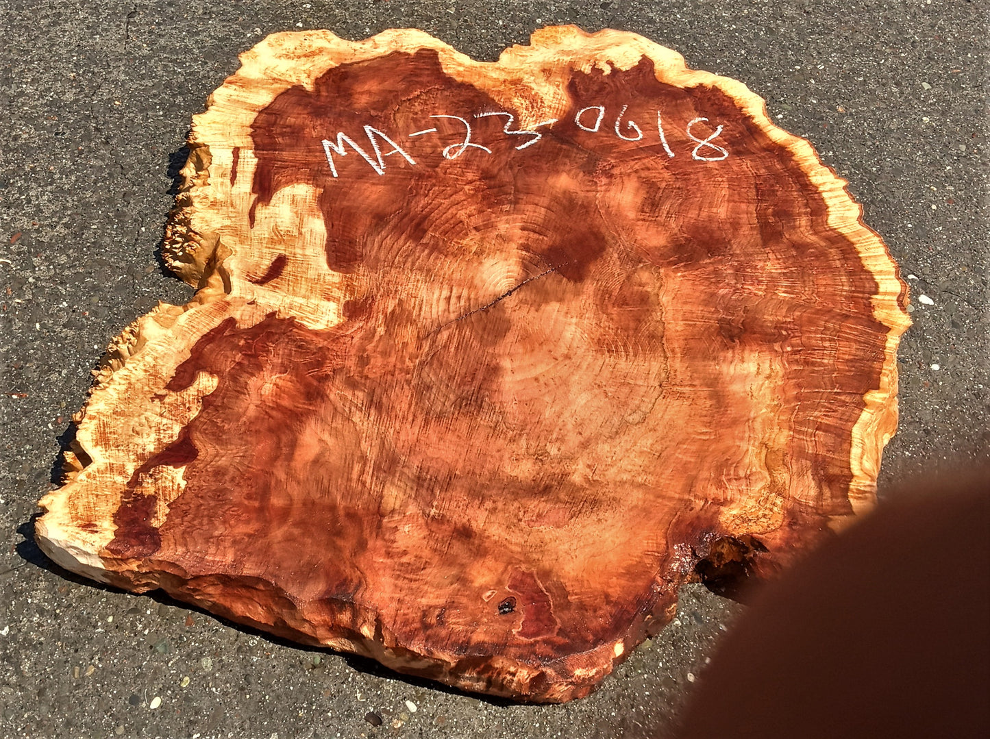 Maple burl slab | live edge | river table | burl table | DIY | ma23-0618