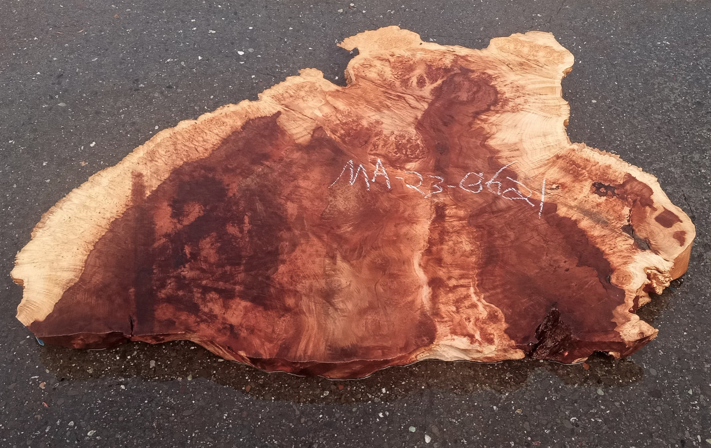 Maple burl slab | live edge | river table | burl table | DIY | ma23-0621