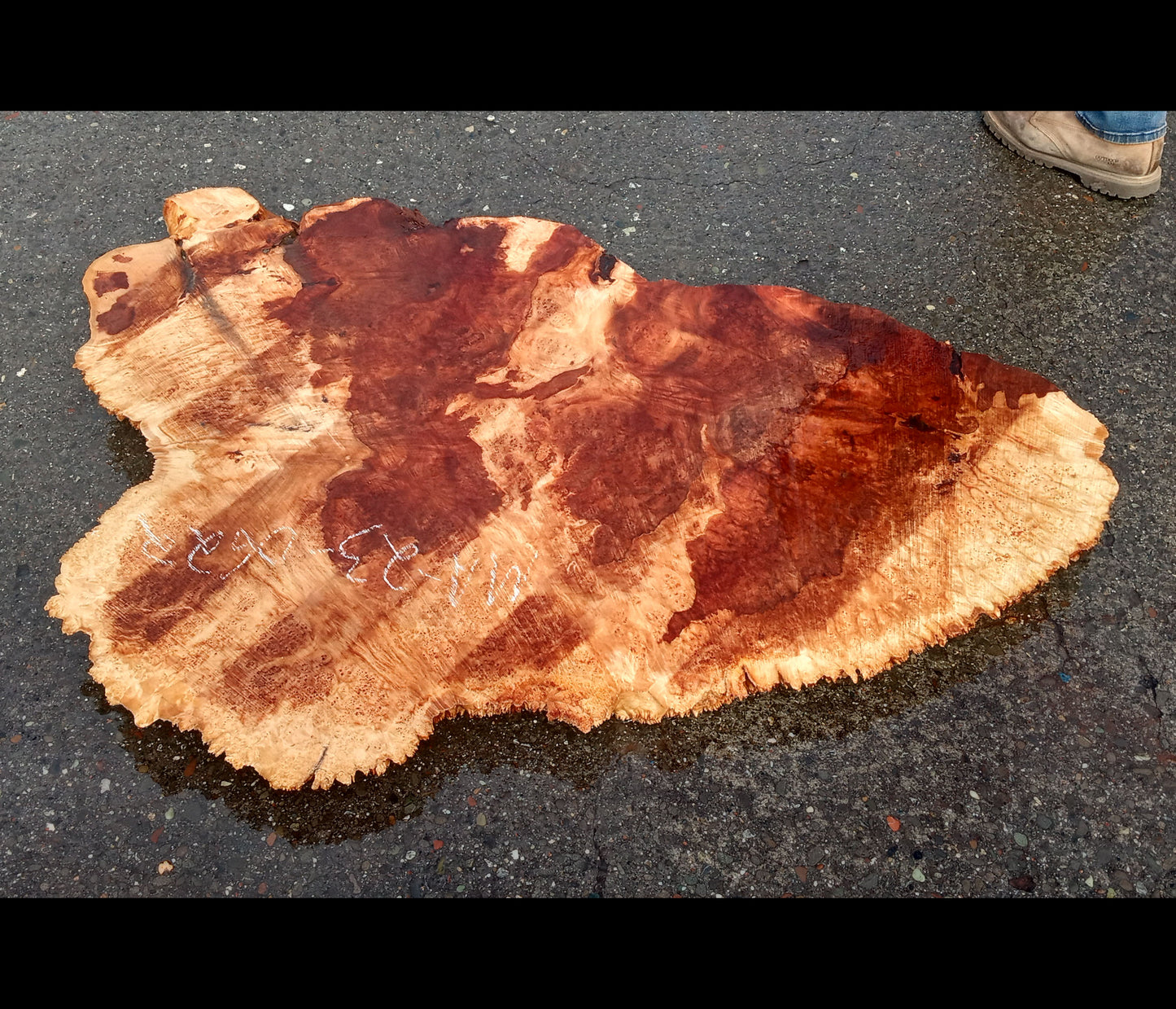 Maple burl slab | live edge | river table | burl table | DIY | ma23-0622